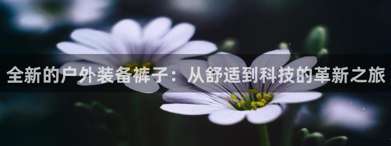 新宝gg下载