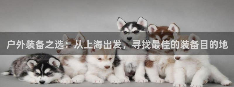 宝GG账78778新宝GG俪78778