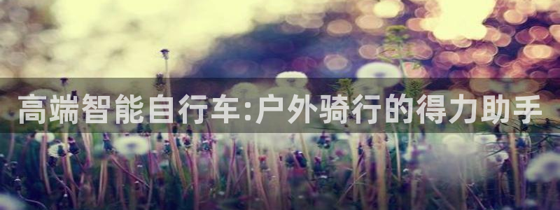 c新宝GG