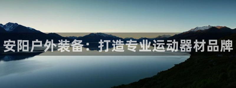 新宝gg介绍