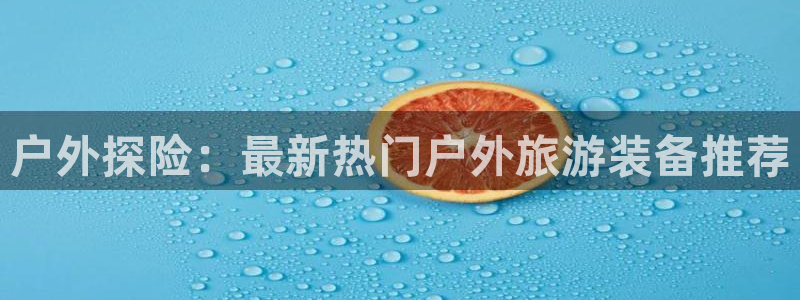 新宝gg网站