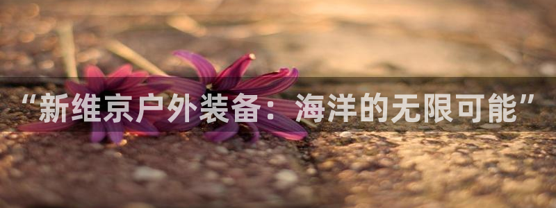 新宝gg龙虎规则