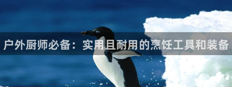 新宝gg开户流程