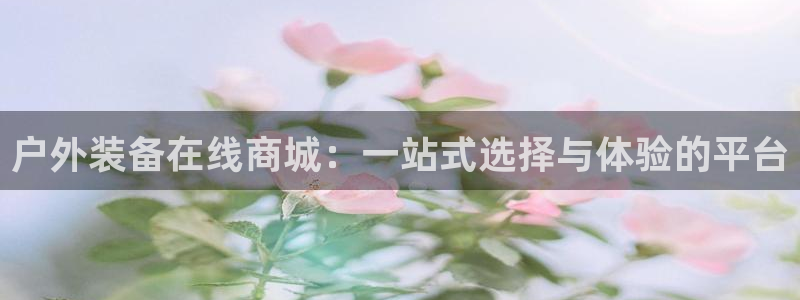 新宝gg是新宝几