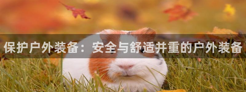 新宝娱乐gg