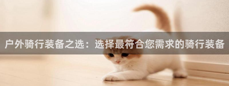 下载新宝gg