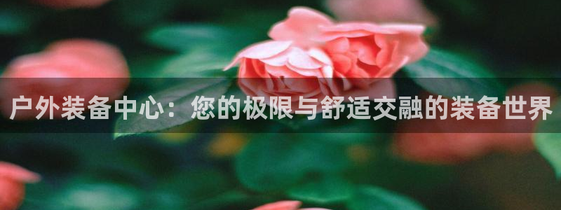 新宝GG链接