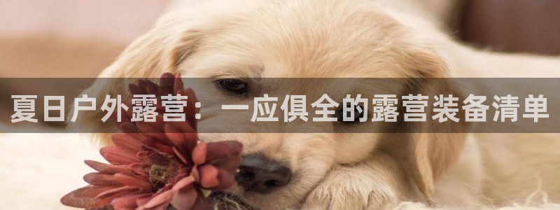 新宝gg提点