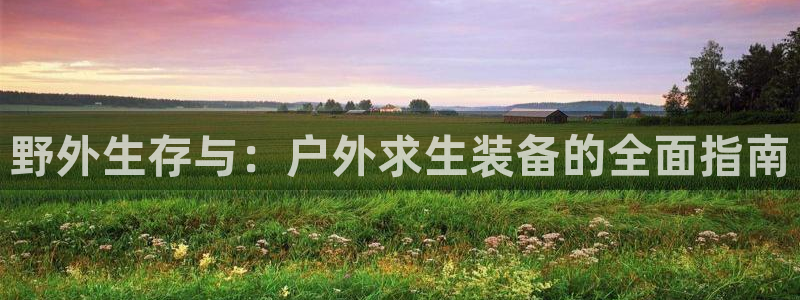 新宝gg有假吗