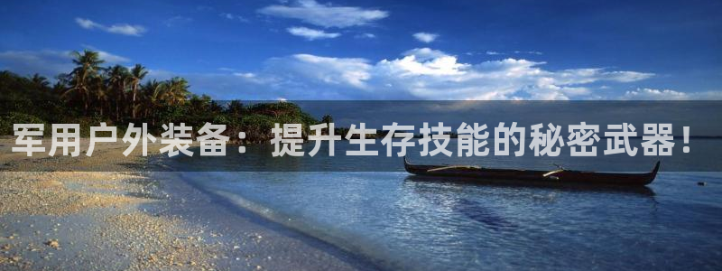 新宝gg赚钱