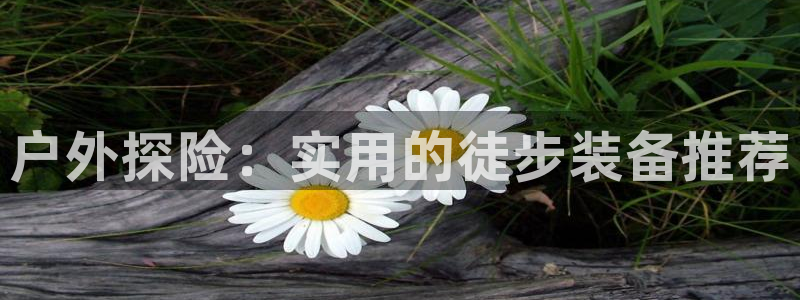 新宝gg下载官网下载