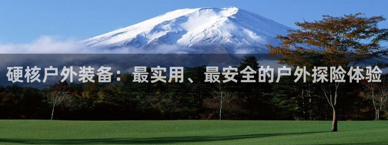 怎么代理新宝gg