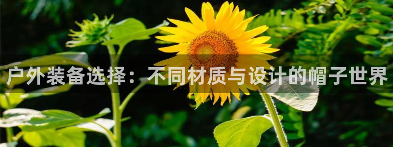 新宝gg怎么开户