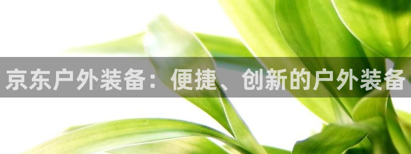 新宝gg为什么没人管