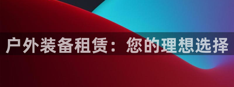 新宝gg辅助