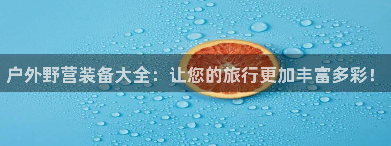 新宝gg挂机软件下载