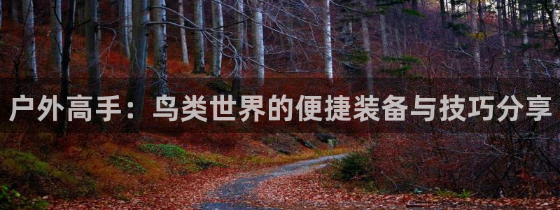 新宝gg正规
