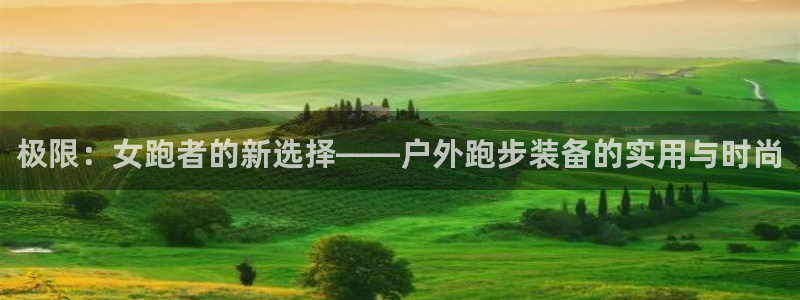 新宝gg下载官网下载