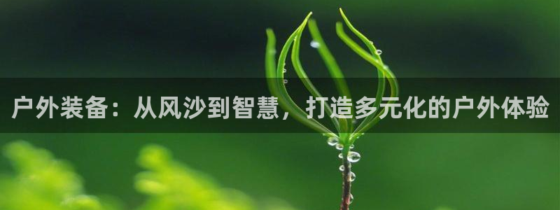 新宝gg官方主管