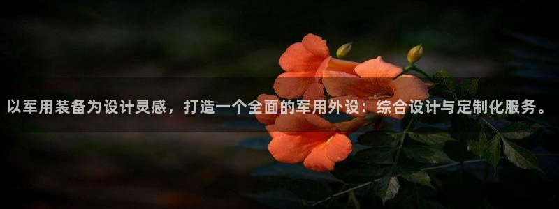 新宝GG挂机