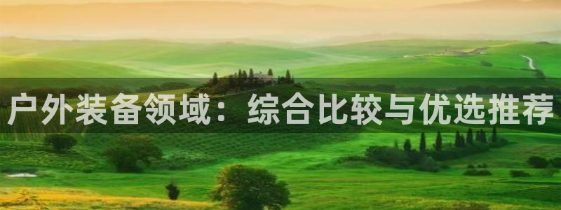 新宝gg app