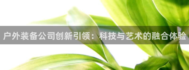 c新宝GG