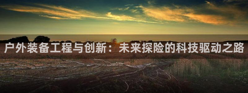 新宝平台gg