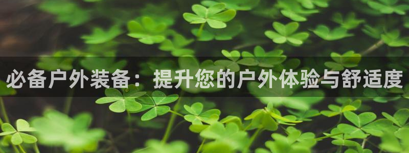 新宝GG娱