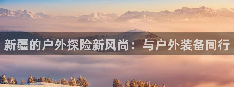 新宝gg返点模式