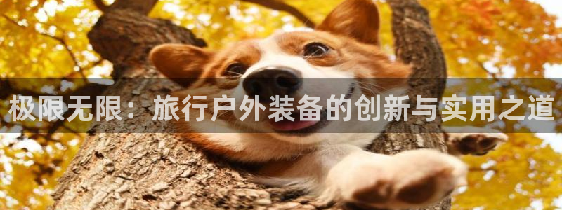 创造奇迹新宝gg