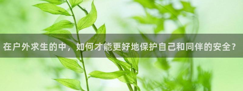 新宝gg如何赚钱