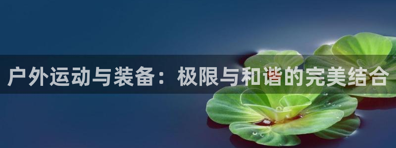 新宝gg会员