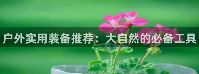 网站新宝GG