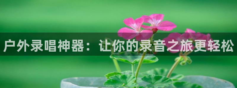 新宝gg扣钱