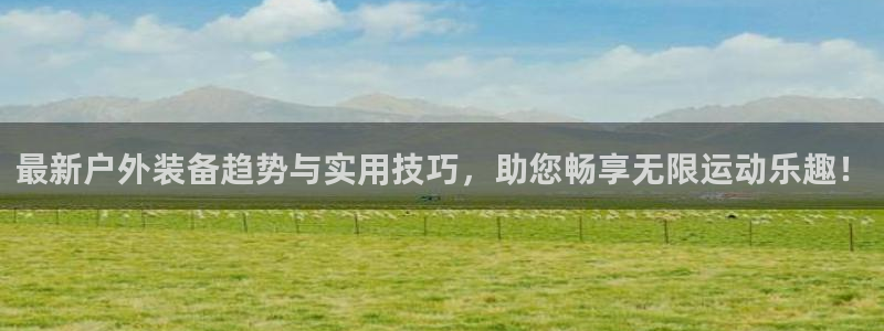 新宝gg返点模式