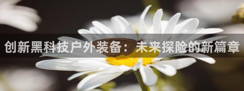 新宝gg手机助手