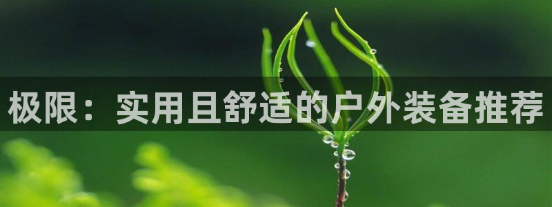 新宝gg总代理