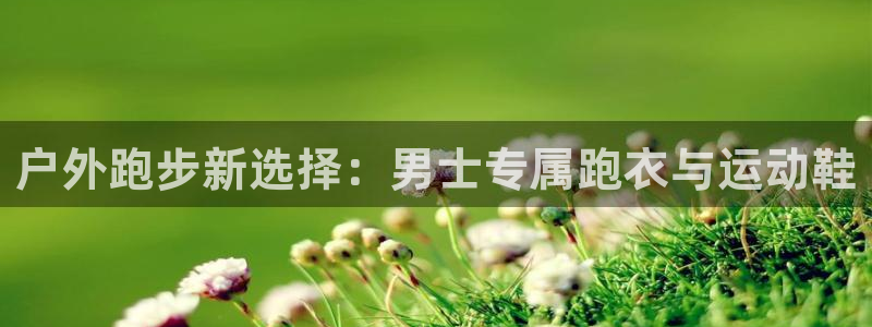 新宝gg平台开发