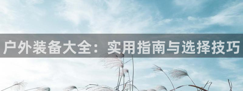 新宝gg 登陆