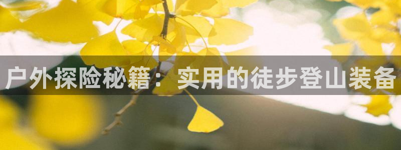 新宝gg在哪开户