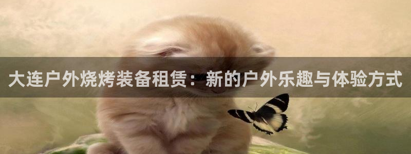 新宝gg代
