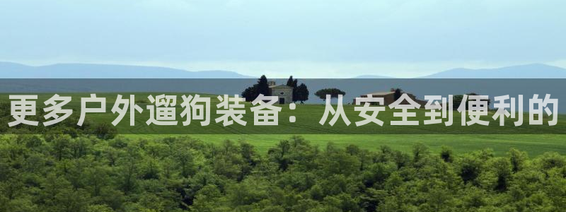 新宝gg珈75775