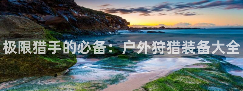 旧版新宝GG