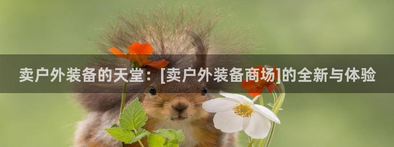 新宝gg娱乐vovq