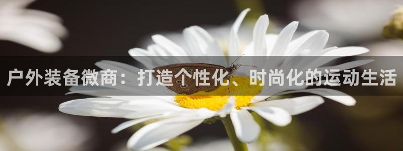 新宝gg ios下载
