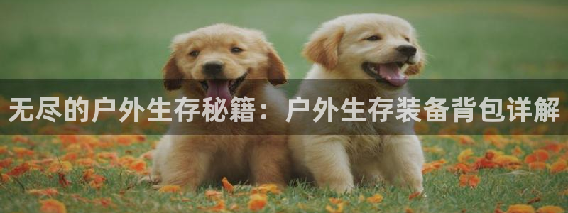 新宝gg创建奇迹