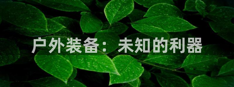 新宝gg线长