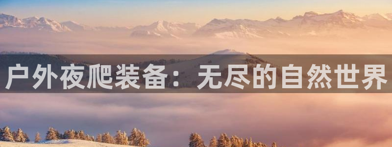 新宝集团gg