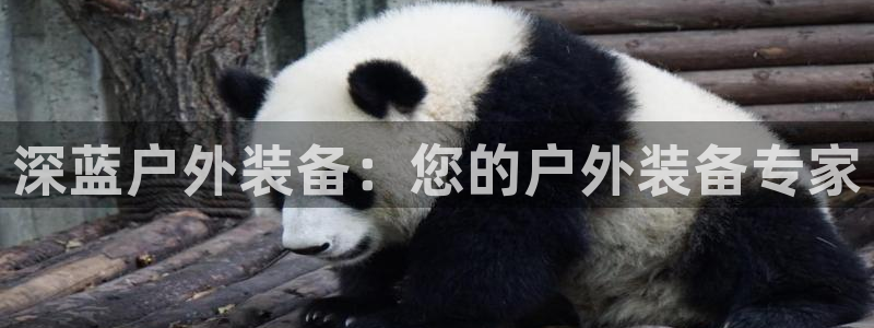 新宝gg手机版下载