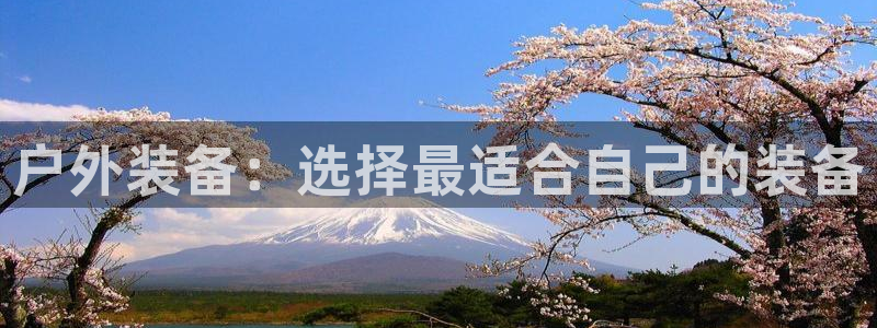 新宝gg分红